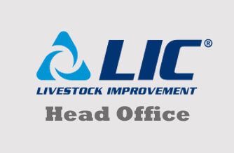 LIC Head Office